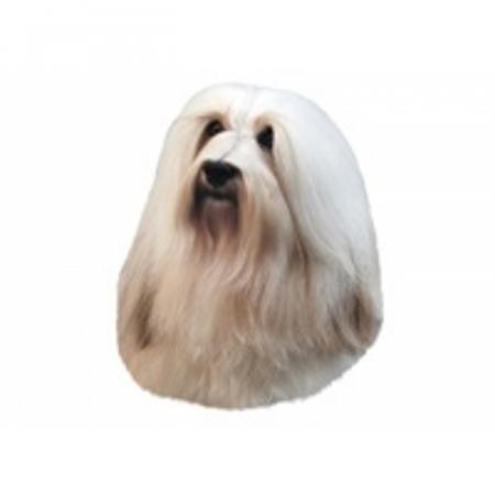 World Stickers Sweeden Klistermærke - Bichon Havanese