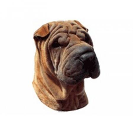 World Stickers Sweeden Klistermærke - Shar Pei