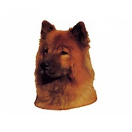 World Stickers Sweeden Klistermærke - Eurasier