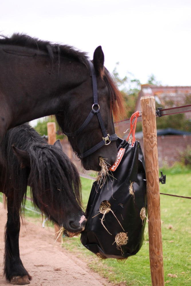 Hay Playbag Slowfeeder
