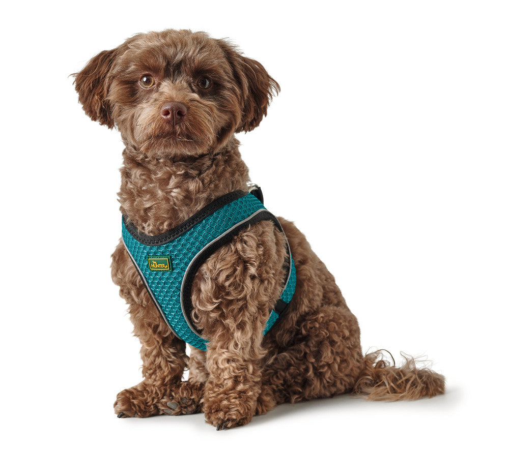 Hunter Hilo Comfort Sele - OUTLET