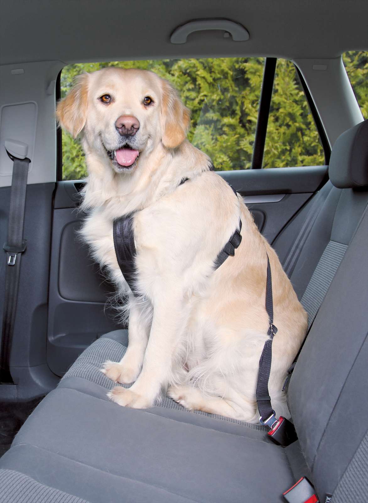 Trixie Bilsele til hund