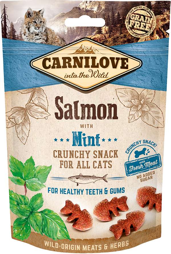 Chrunchy snack Salmon & Mint