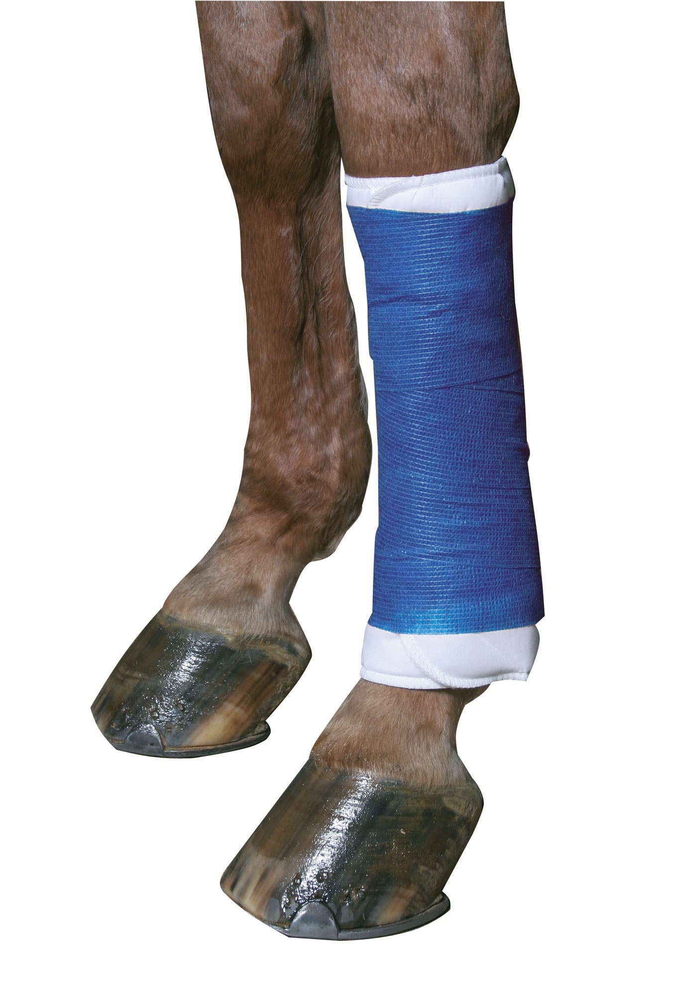 Kerbl EquiLastic Bandage