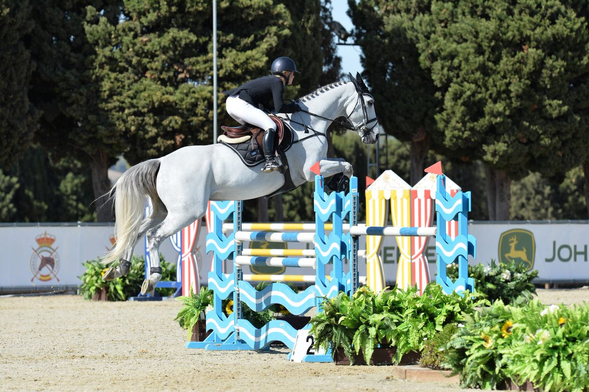 Equestrian Stockholm Black Edition Springunderlag