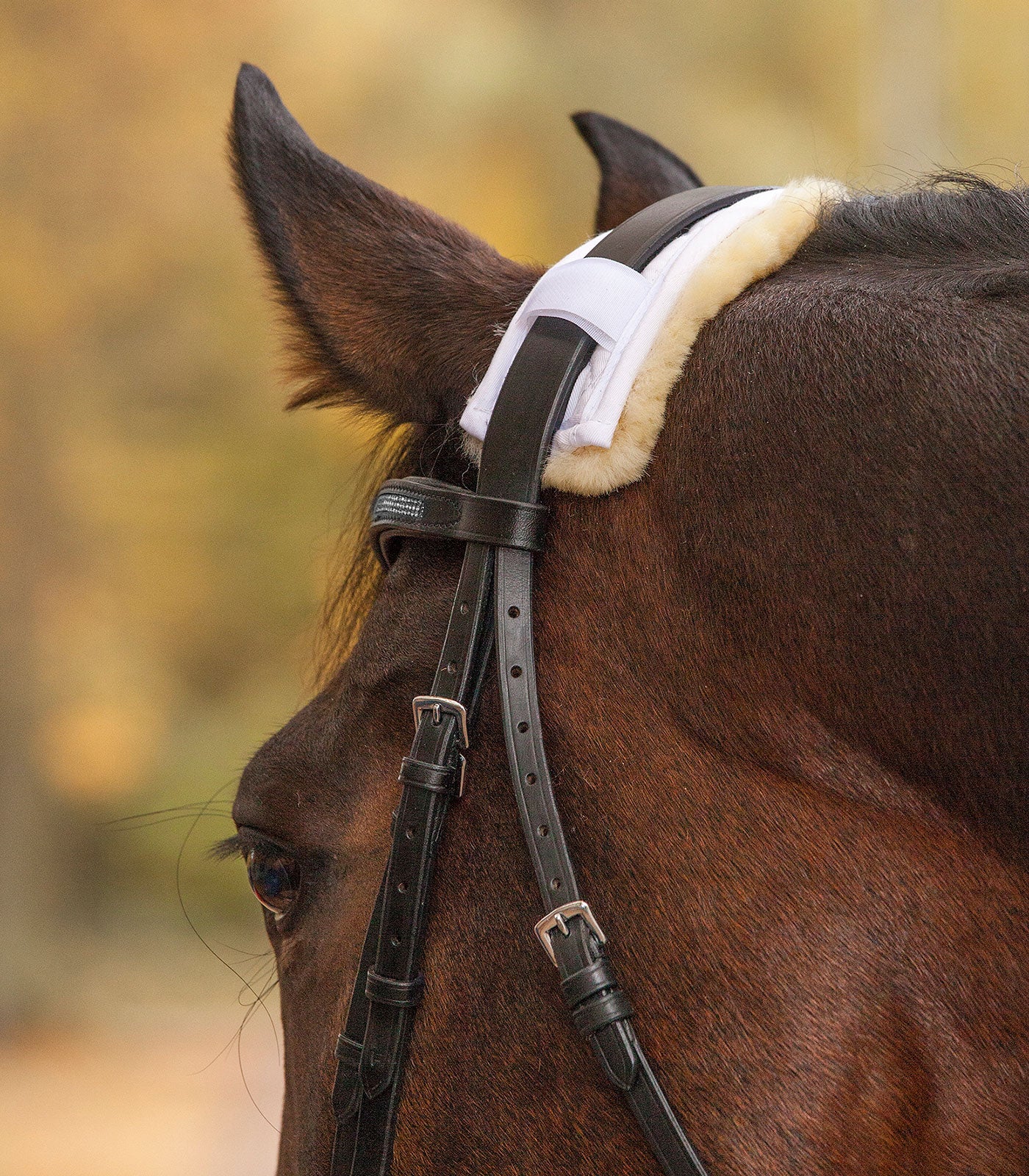 Waldhausen Lambskin Protector