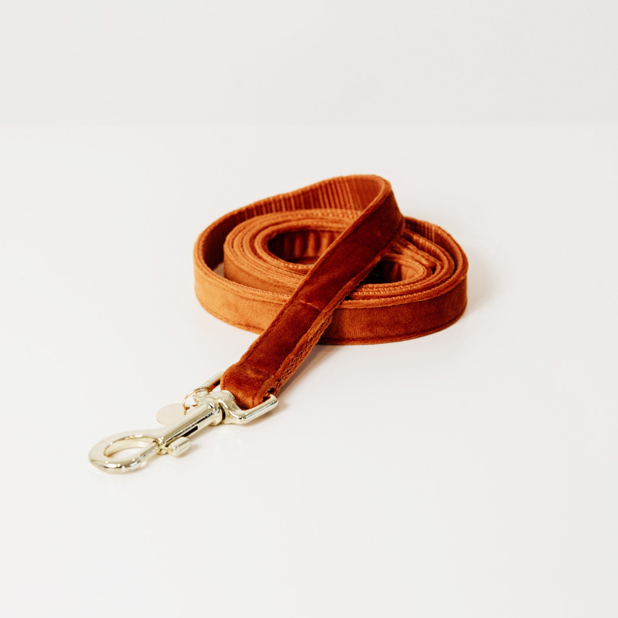 Kentucky  Dog Lead Velvet Line