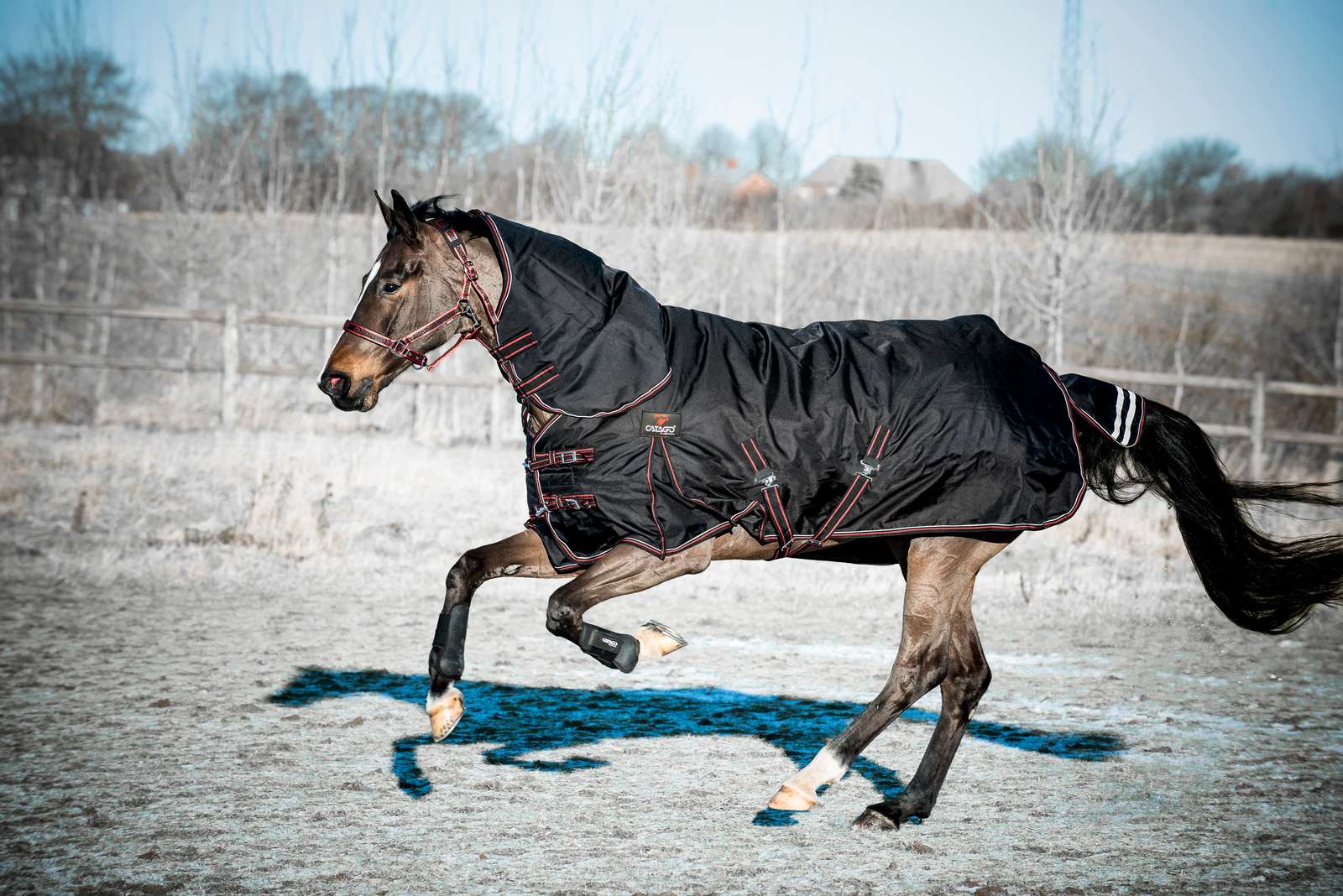 Endurance 