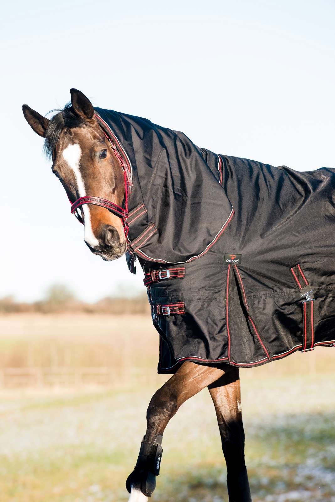 Catago Endurance Dækken 0 g. OUTLET