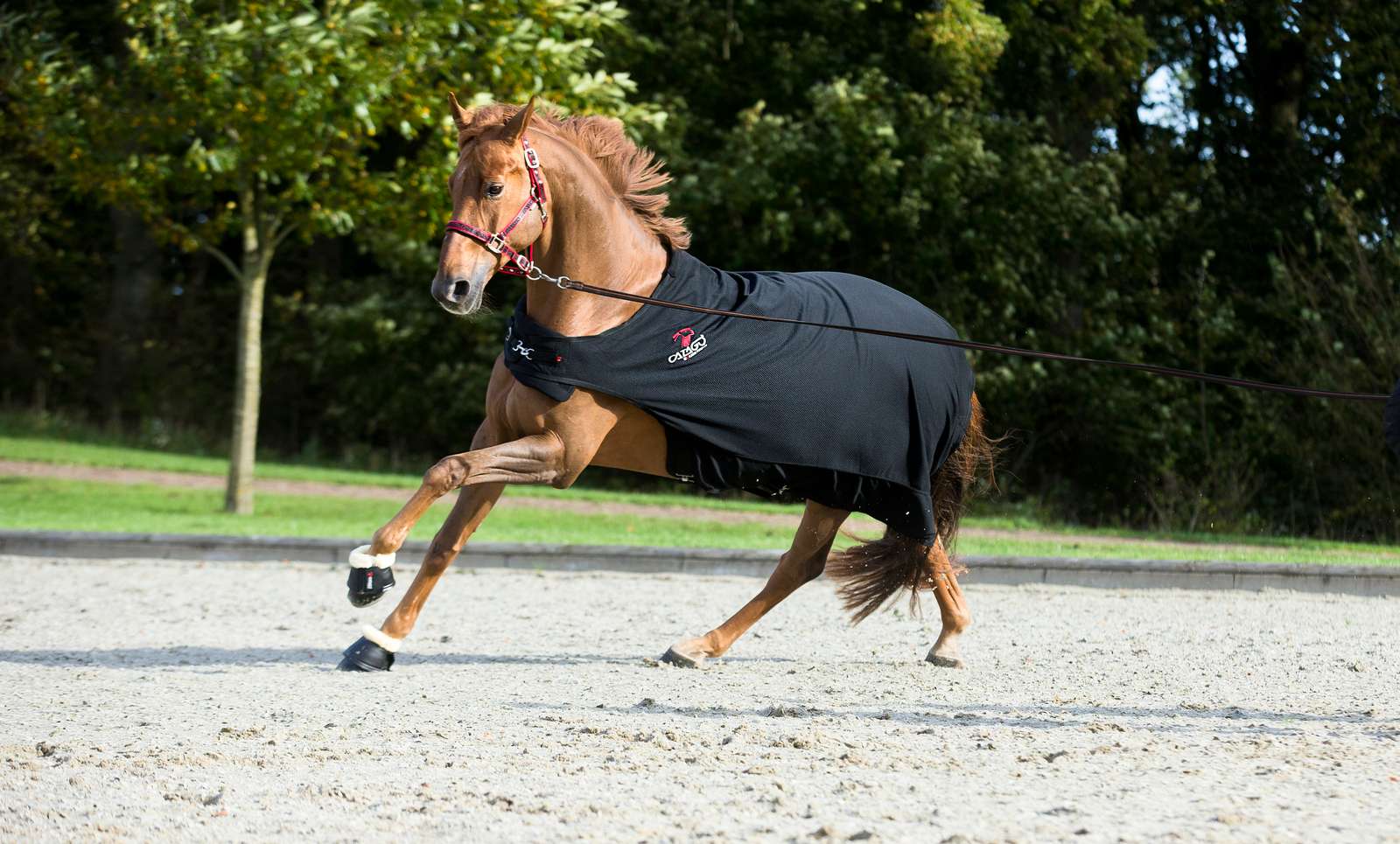 Catago Fir Tech Walker dækken