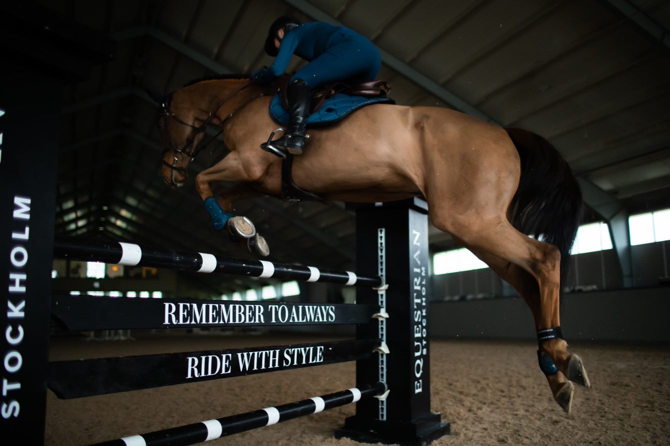 Equestrian Stockholm Blue Meadow Springunderlag