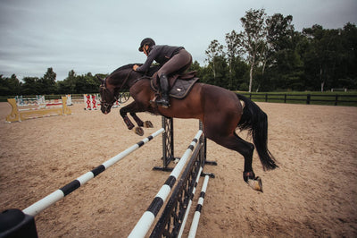 Equestrian Stockholm Dark Sky Springunderlag