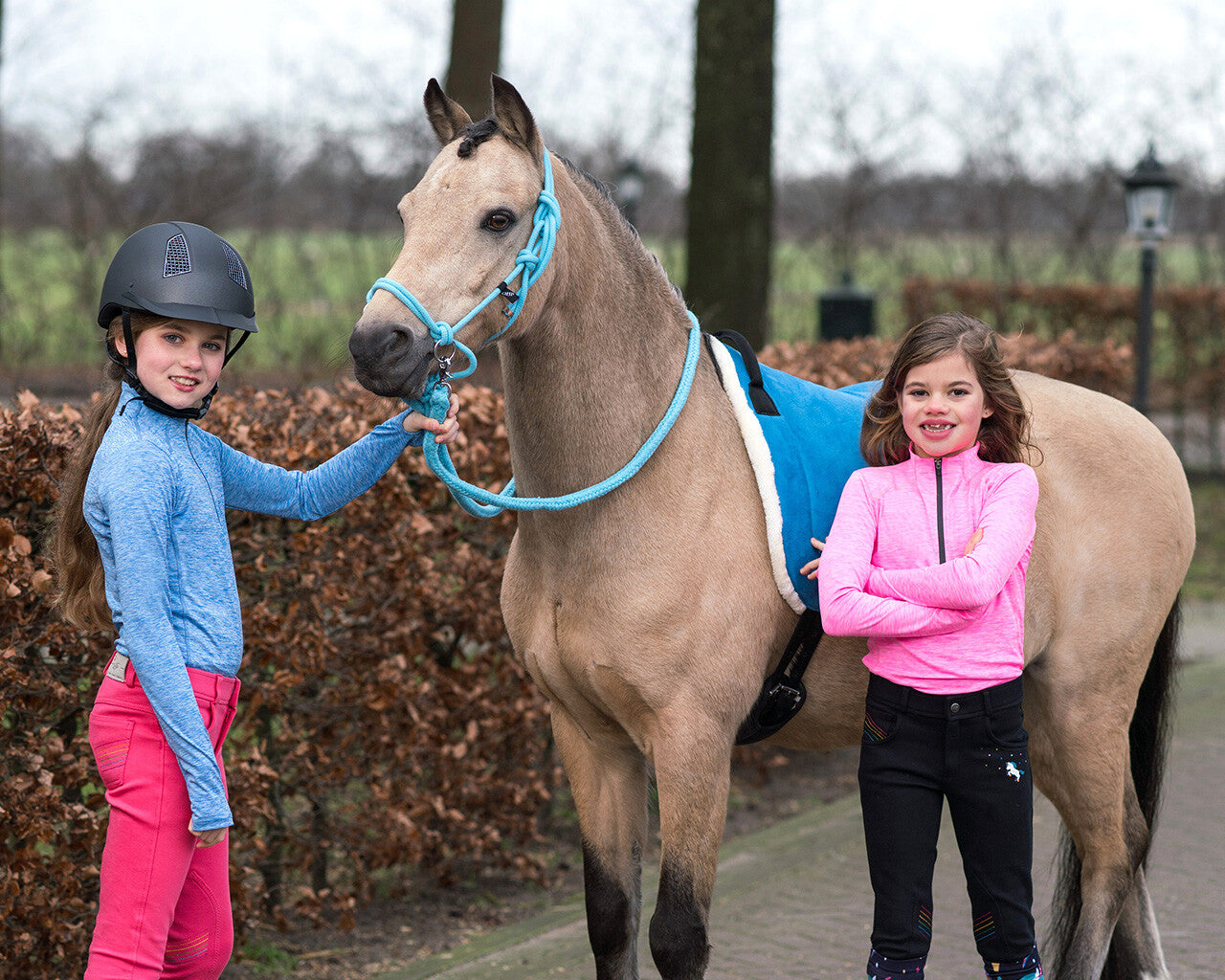 QHP Bareback Pad