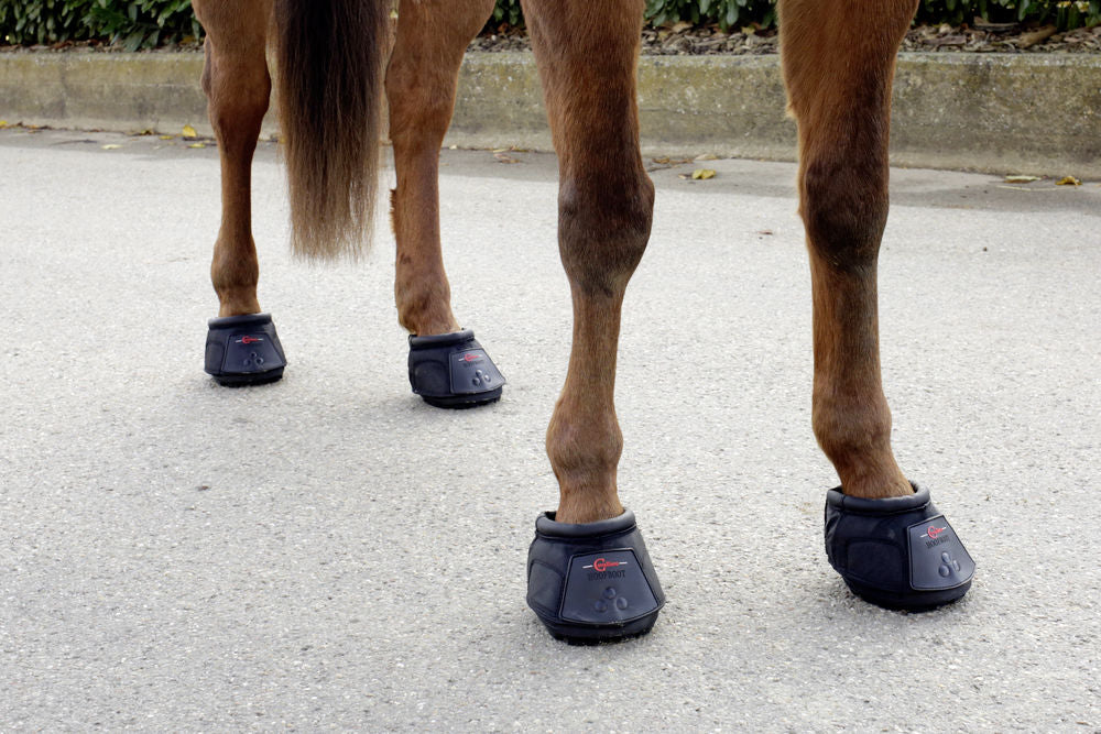 Covalliero Hoof Shoe