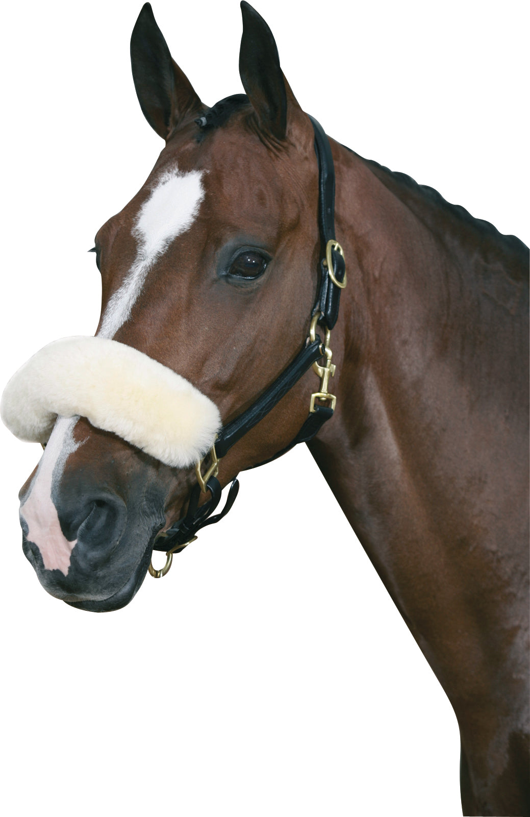 HorseGuard MediLamb Næsebeskytter