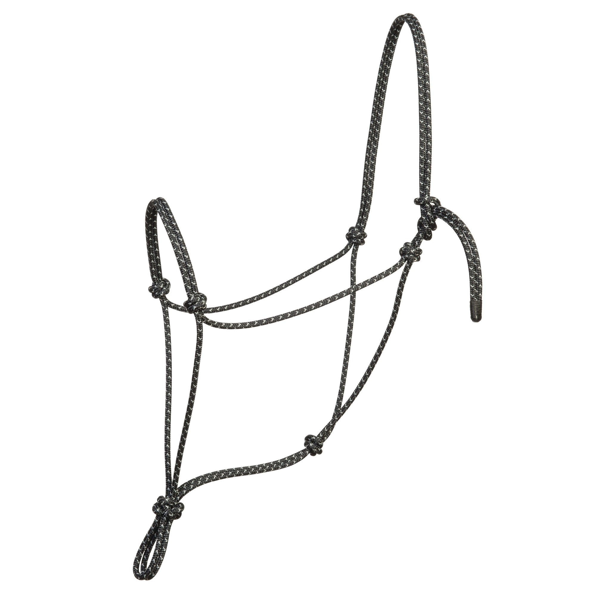 Silvertip Halters Weaver Silvertip Big Sky Rebgrime