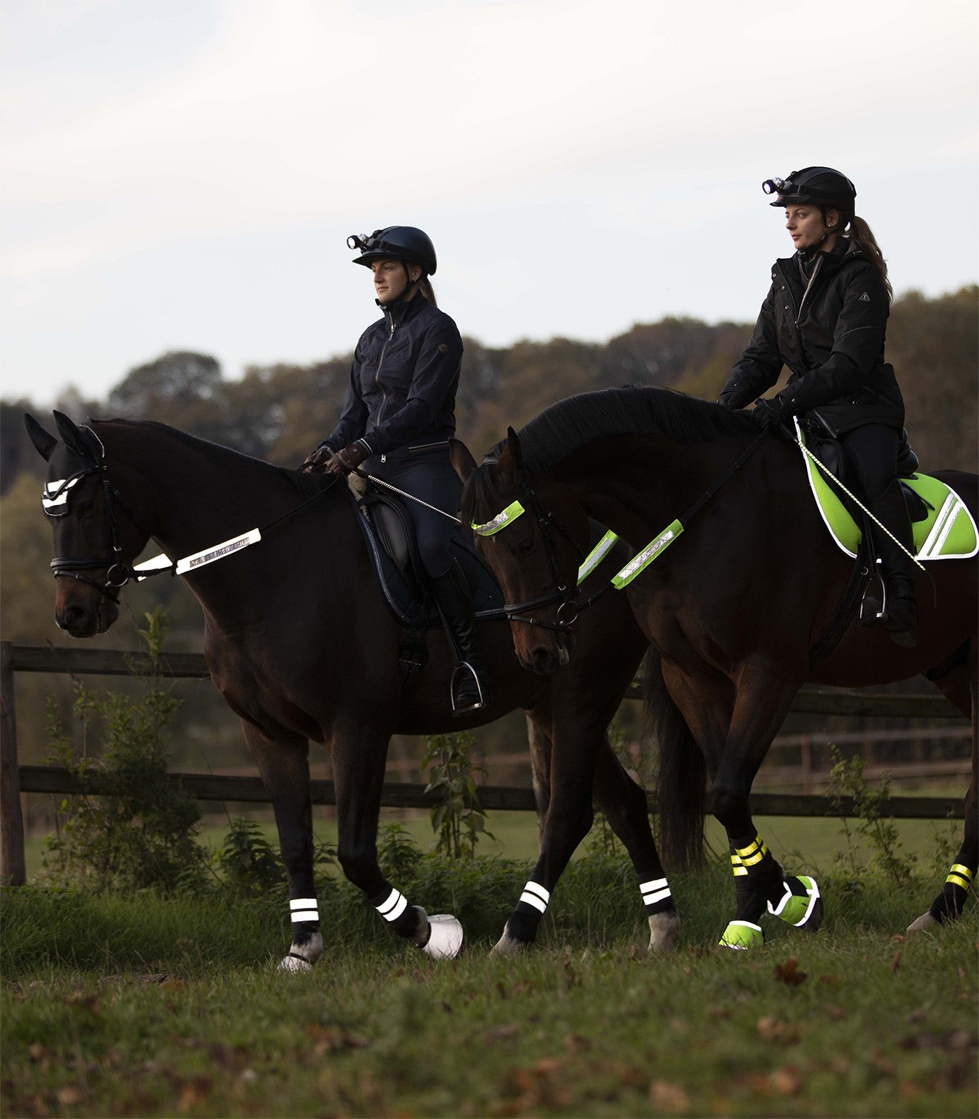 Reflex Bridle-Set