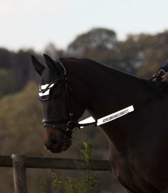 Reflex Bridle-Set