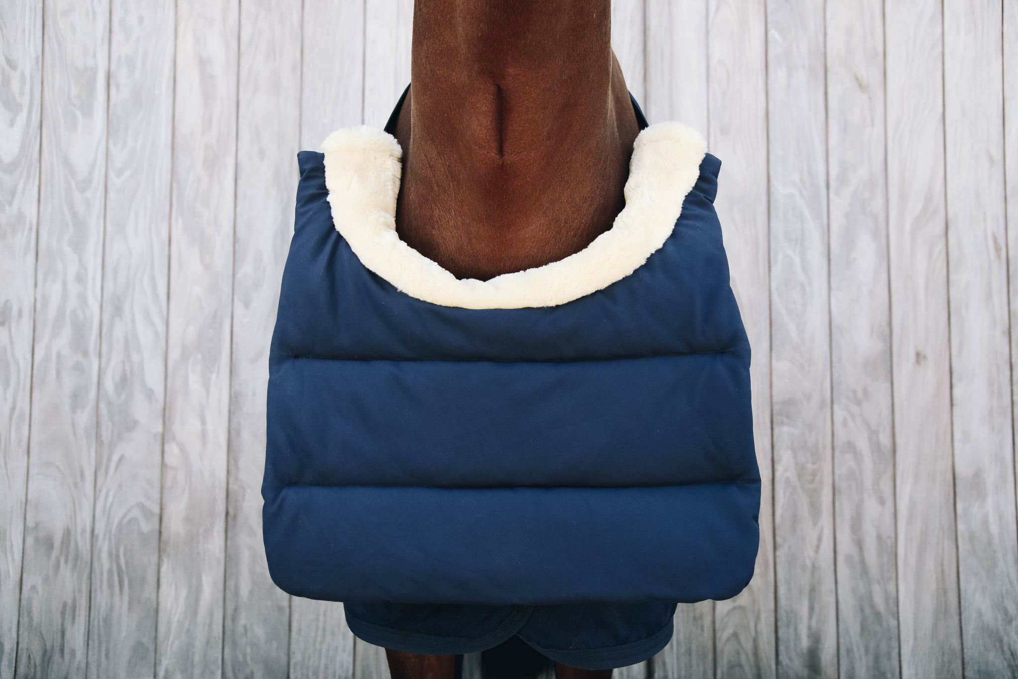 Kentucky  Horse BIB Winter