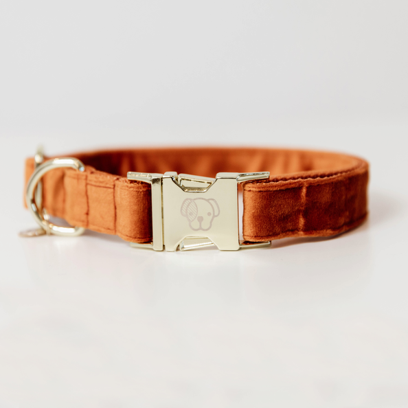 Kentucky  Dog Collar Velvet Halsbånd