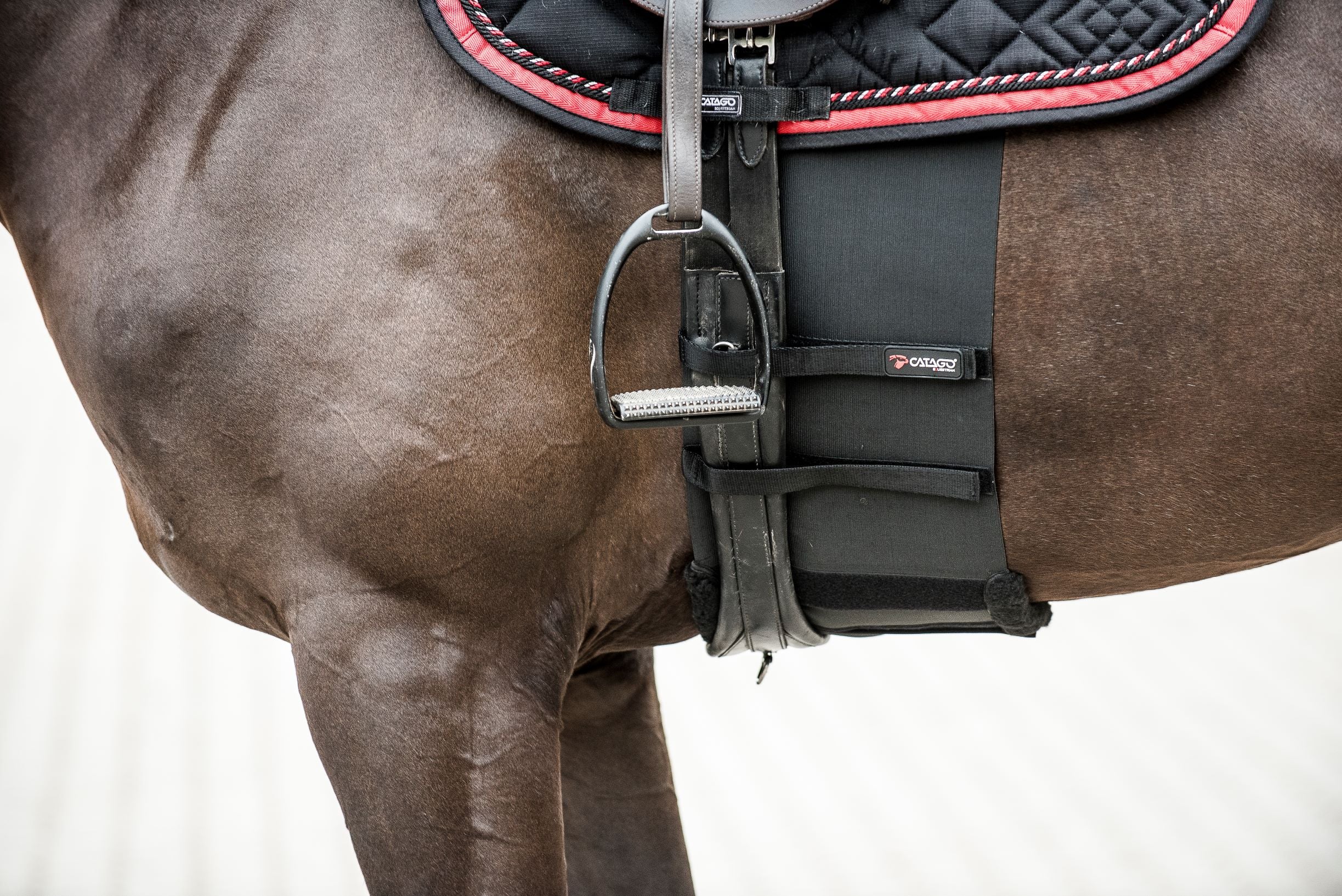 Catago Body Shield