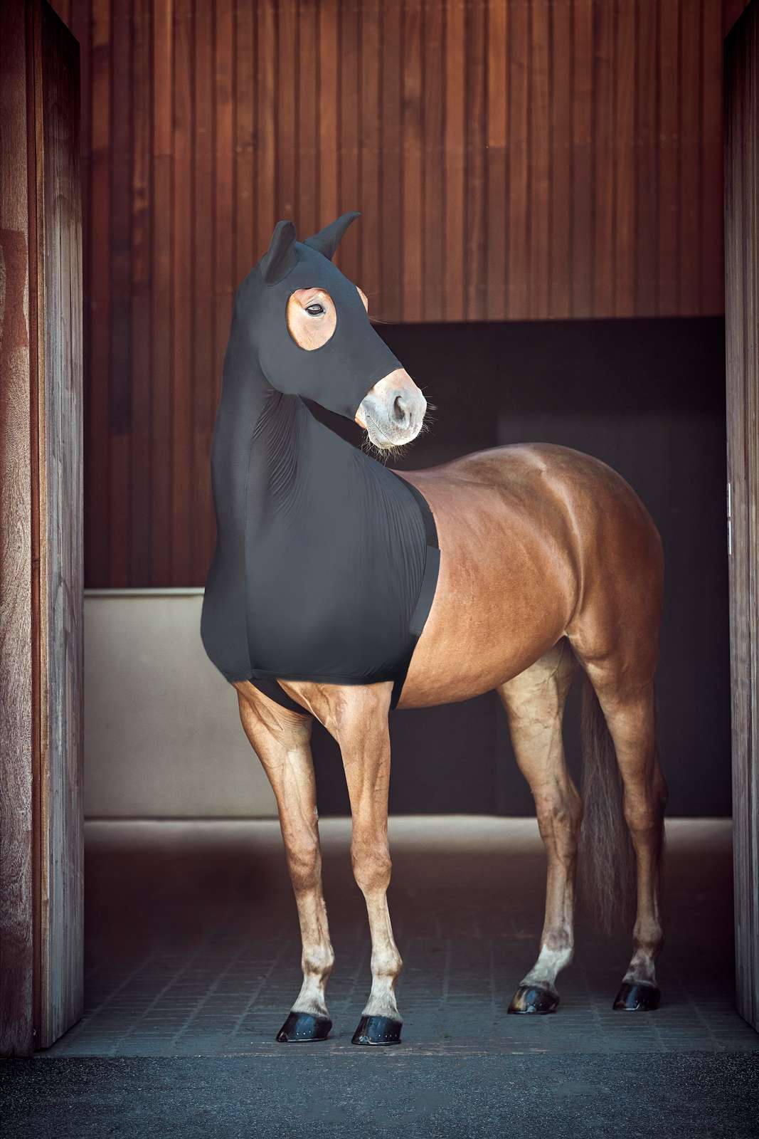 Catago FIR Tech Stretch Hood m. Lynlås