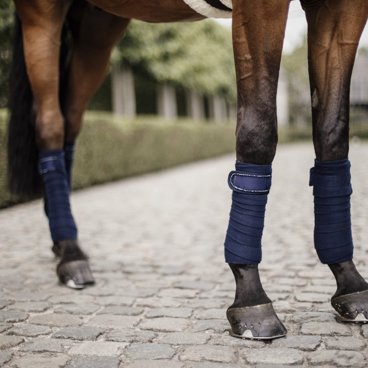 Kentucky  Polar Fleece Bandage Pearls