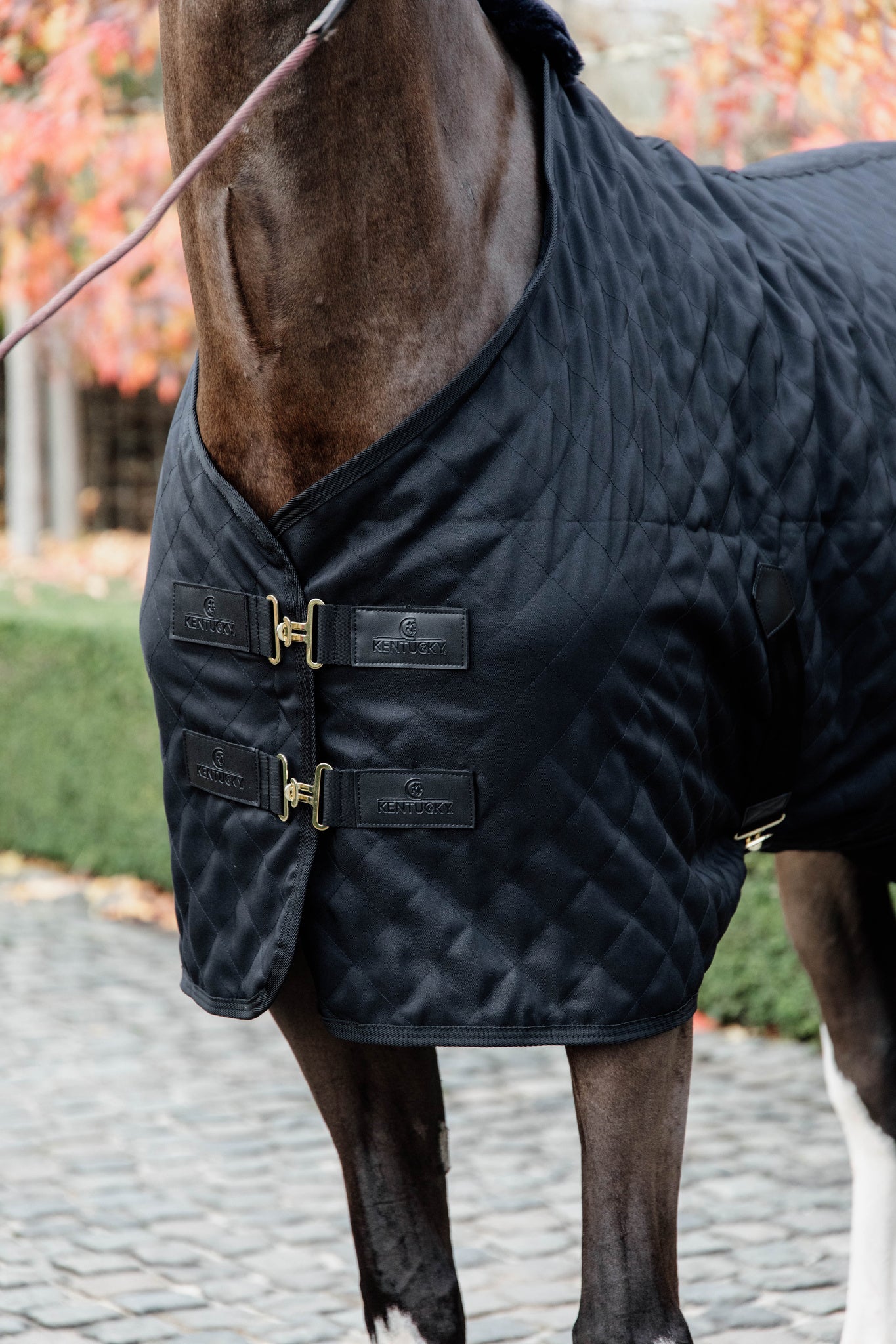 Kentucky  Stable Rug 0g.