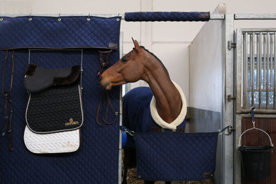 Kentucky  Stable Curtain