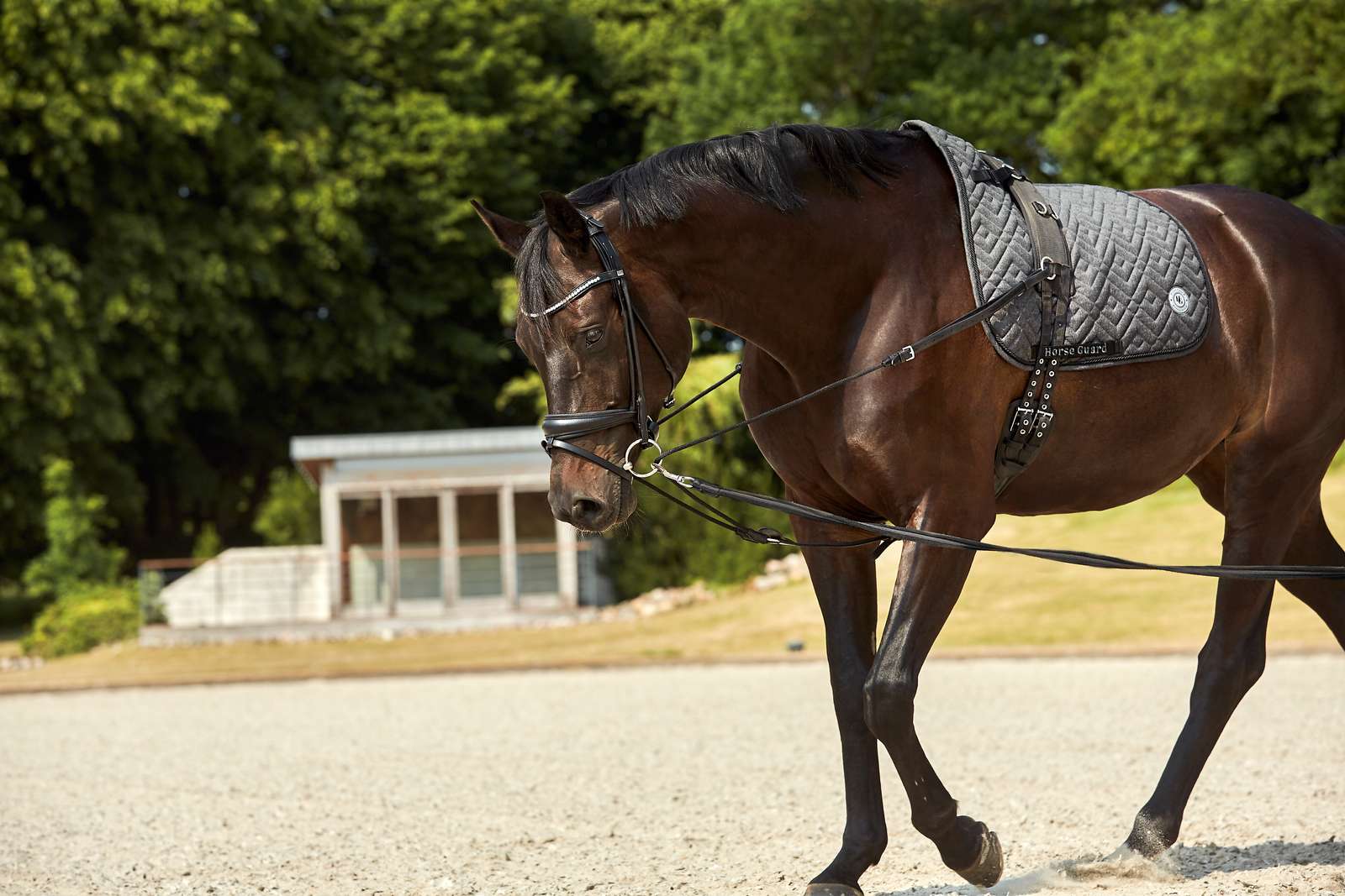 HorseGuard Trepunktstøjle