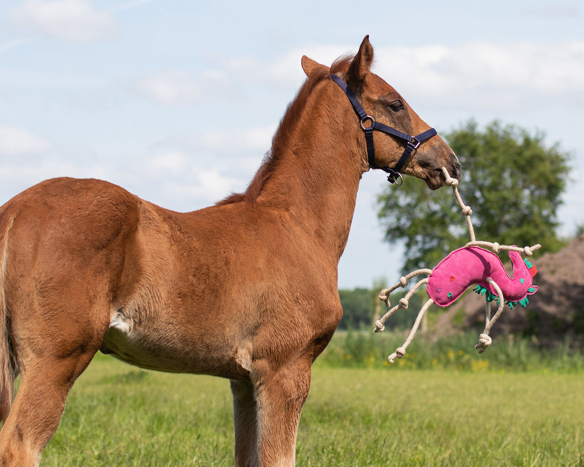 QHP Horse Toy Unicorn