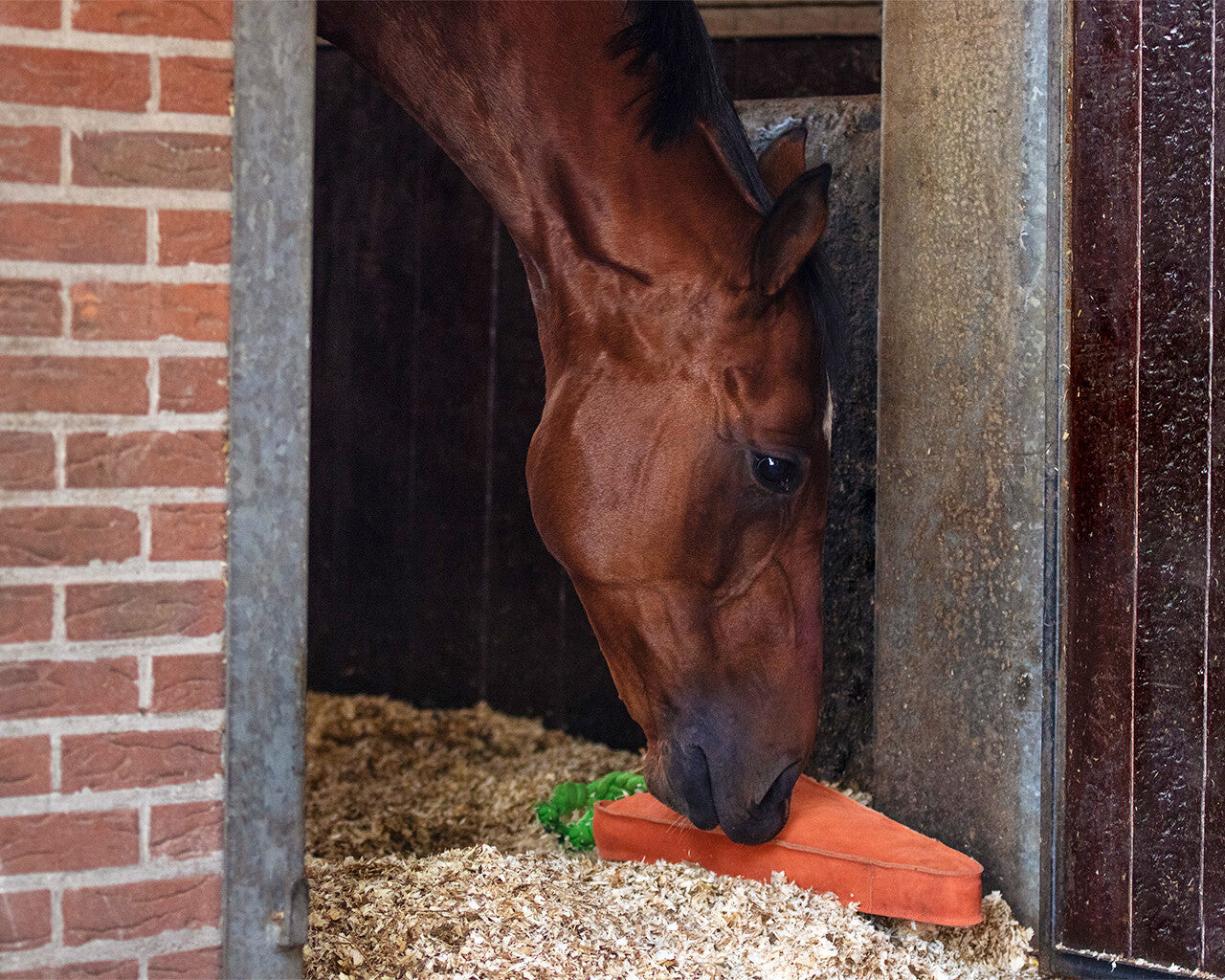 QHP Horse Toy Carrot XL