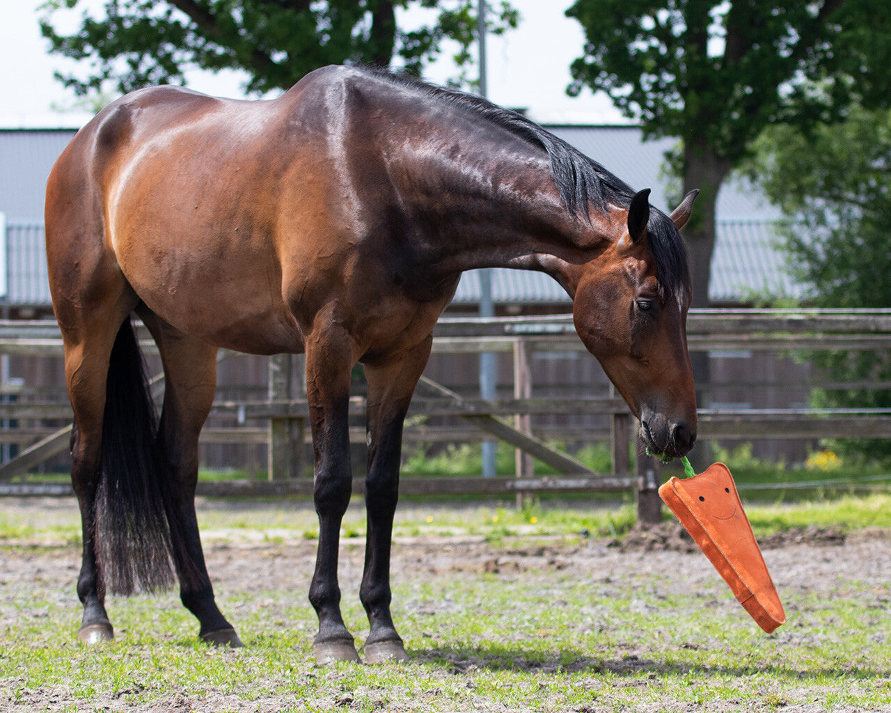 QHP Horse Toy Carrot XL