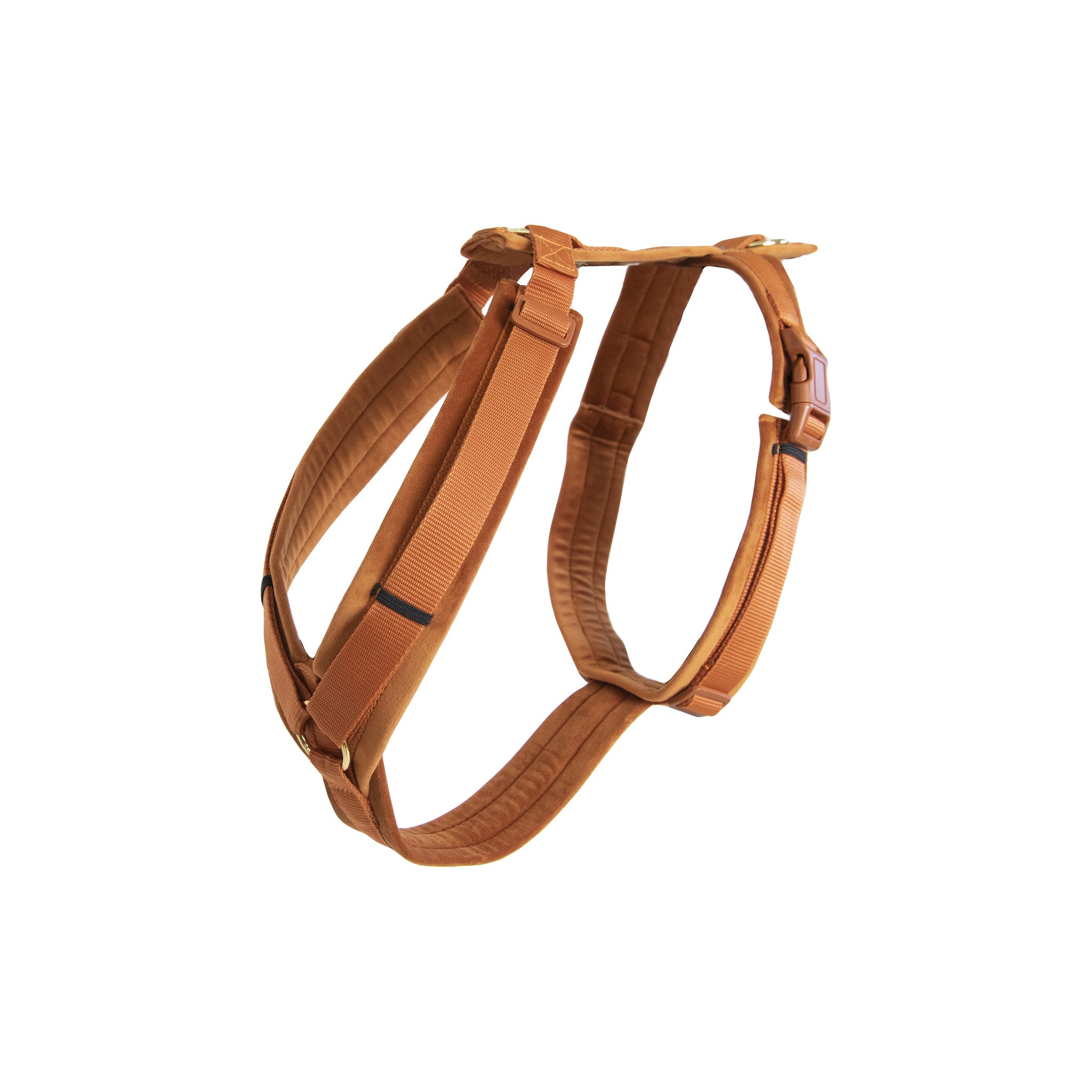 Kentucky Harness Active Velvet
