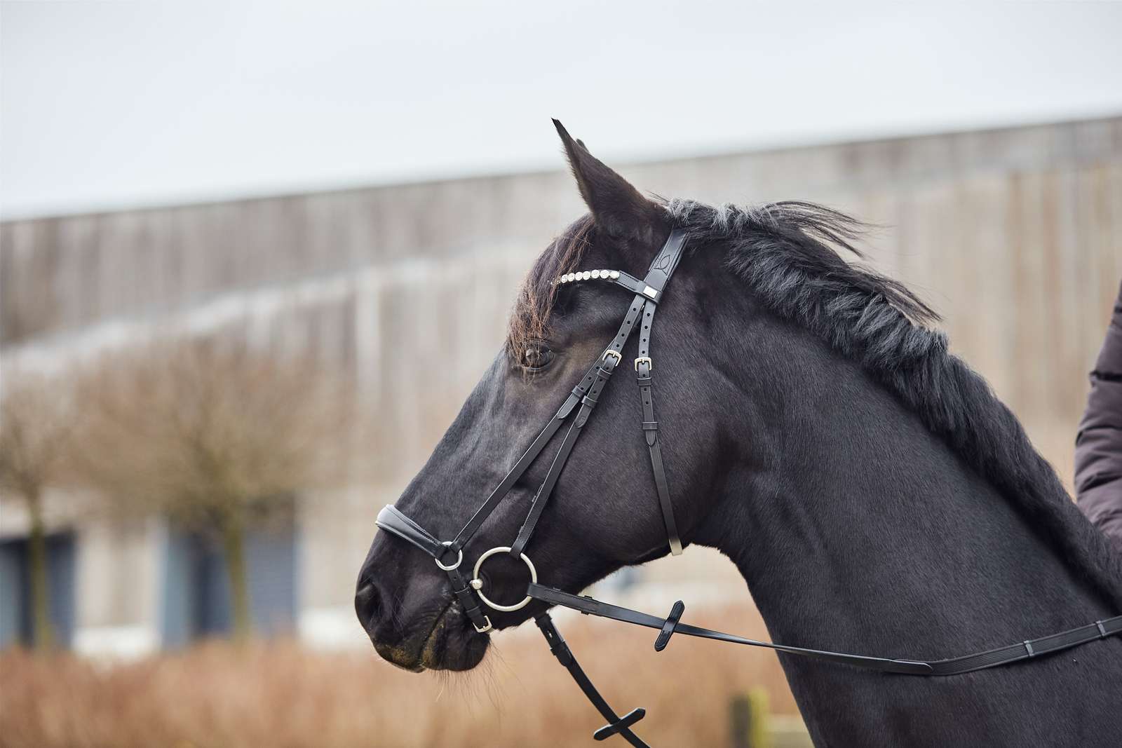 HorseGuard Cryll 22.2 Trense m. Hannoveransk Næsebånd