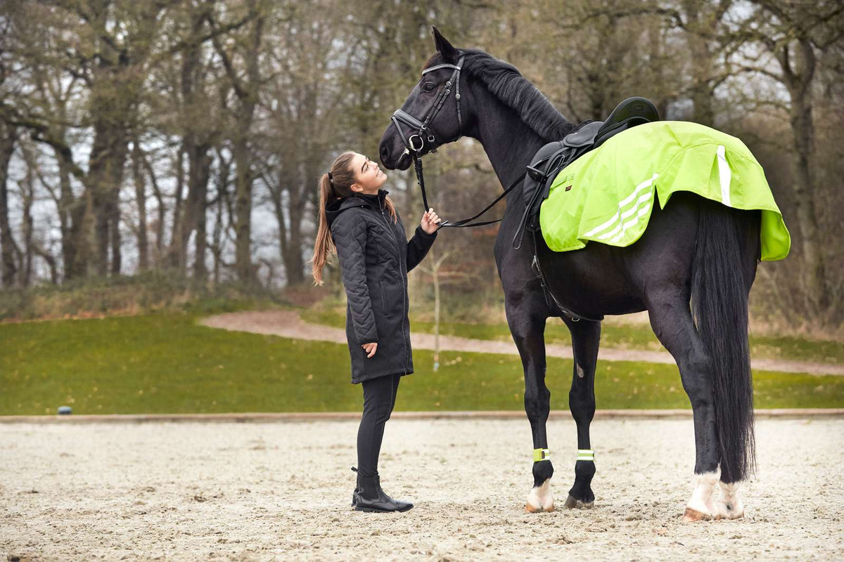 HorseGuard Judy Refleks Lændedækken