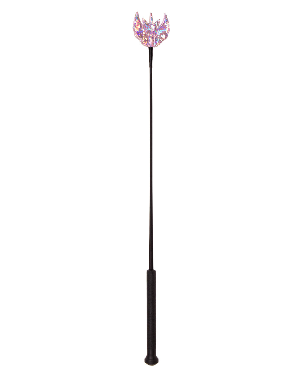 QHP Veerle Pisk