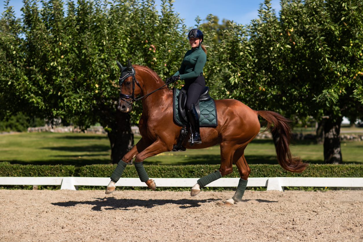 Equestrian Stockholm Sycamore Green Dressage Saddle Pad