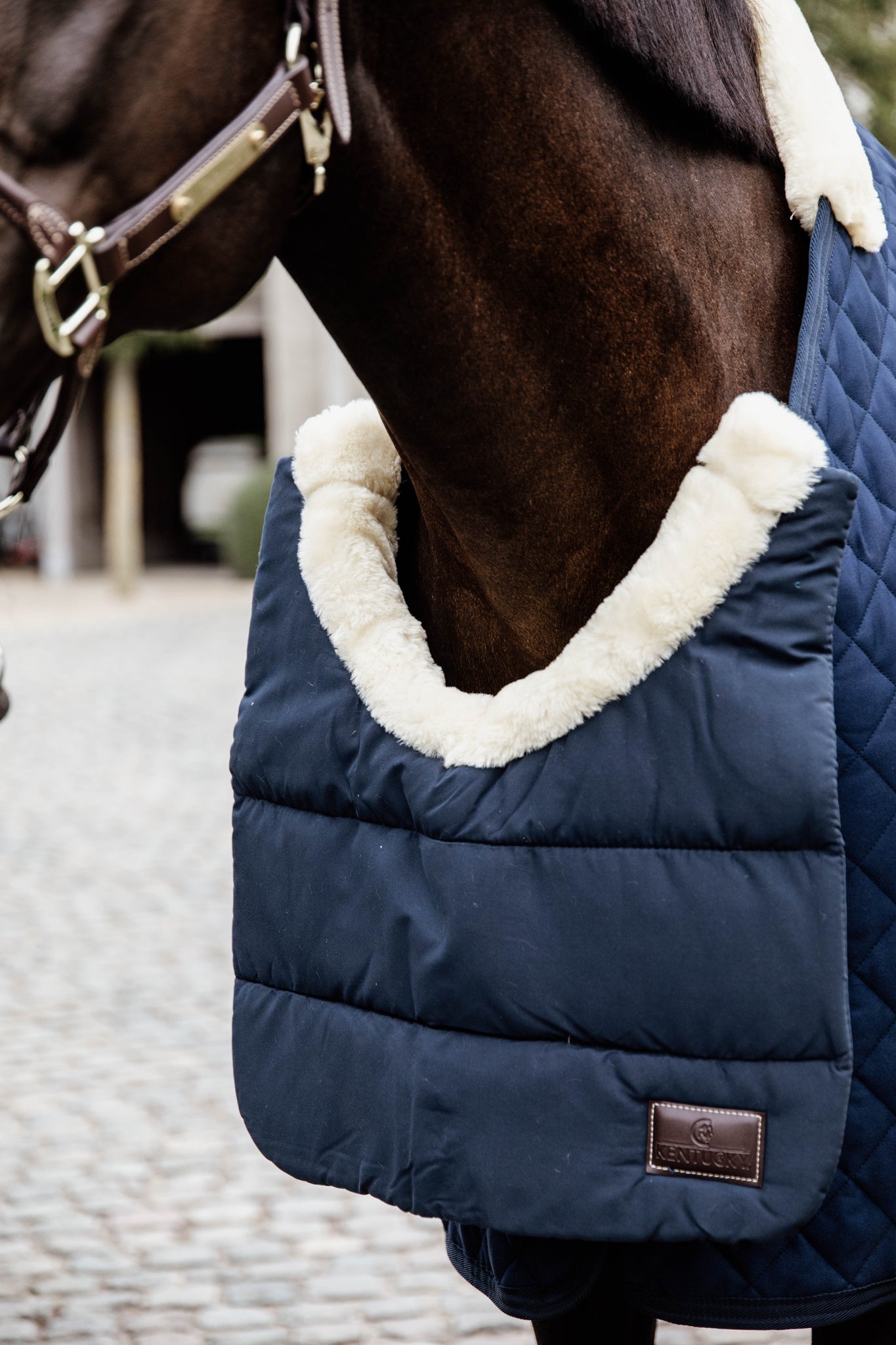Kentucky  Horse BIB Winter