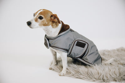 Kentucky  Dog Coat Reflective Water Repellent