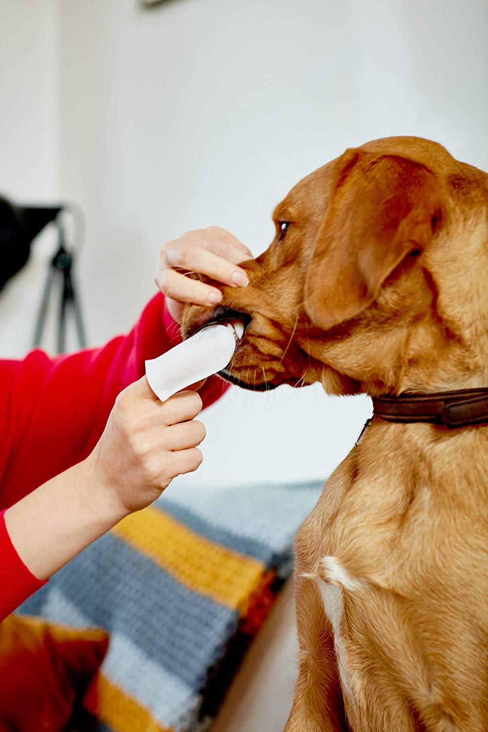 Vet's Best Clean Teeth renseservietter