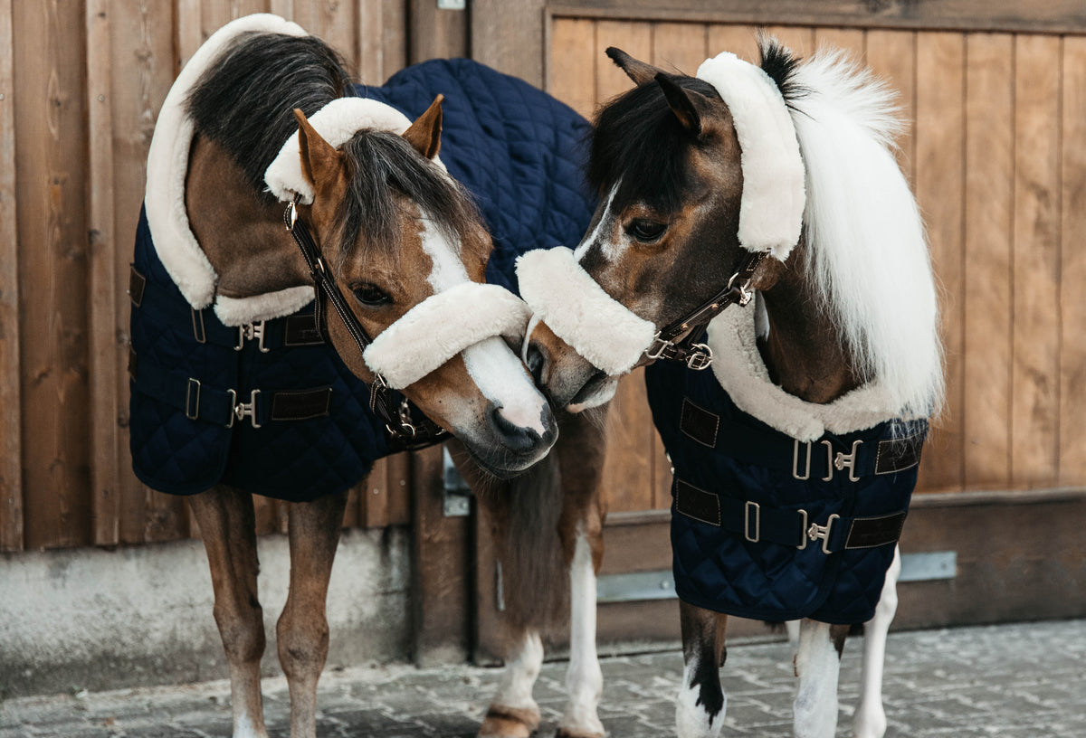 Kentucky  Show Rug Tiny