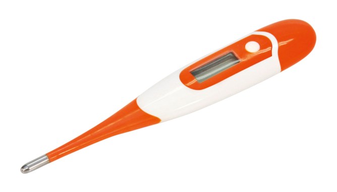 Digital Thermometer Flexible
