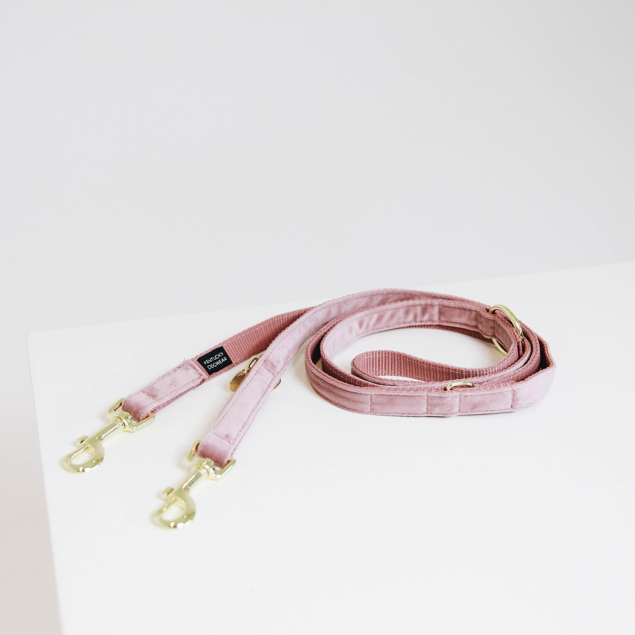 Kentucky  Dog Lead Velvet Line