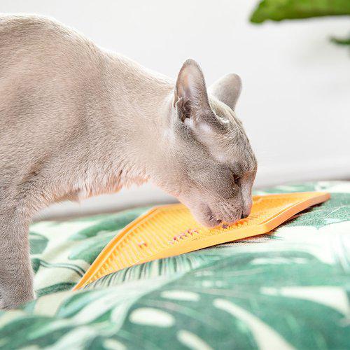 Innovative Pet Products Lickimat Soother Grøn