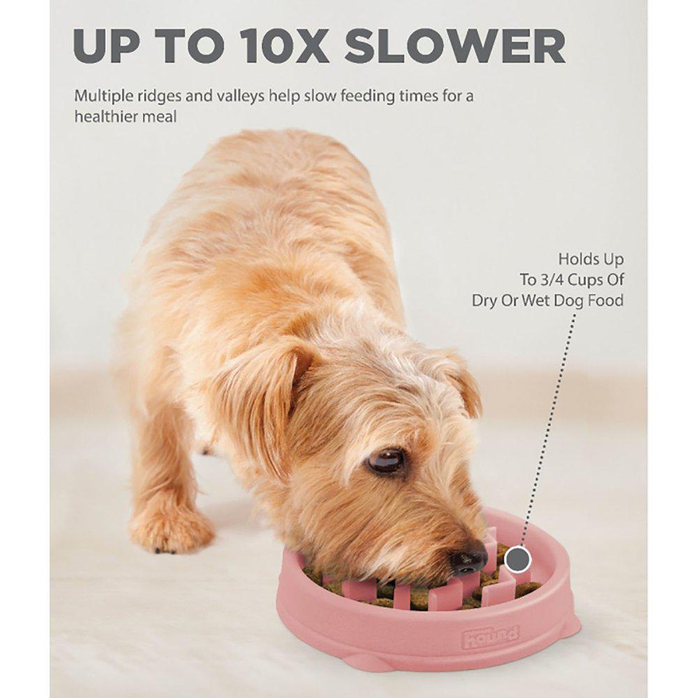 Imazo Fun Feeder Slo Bowl