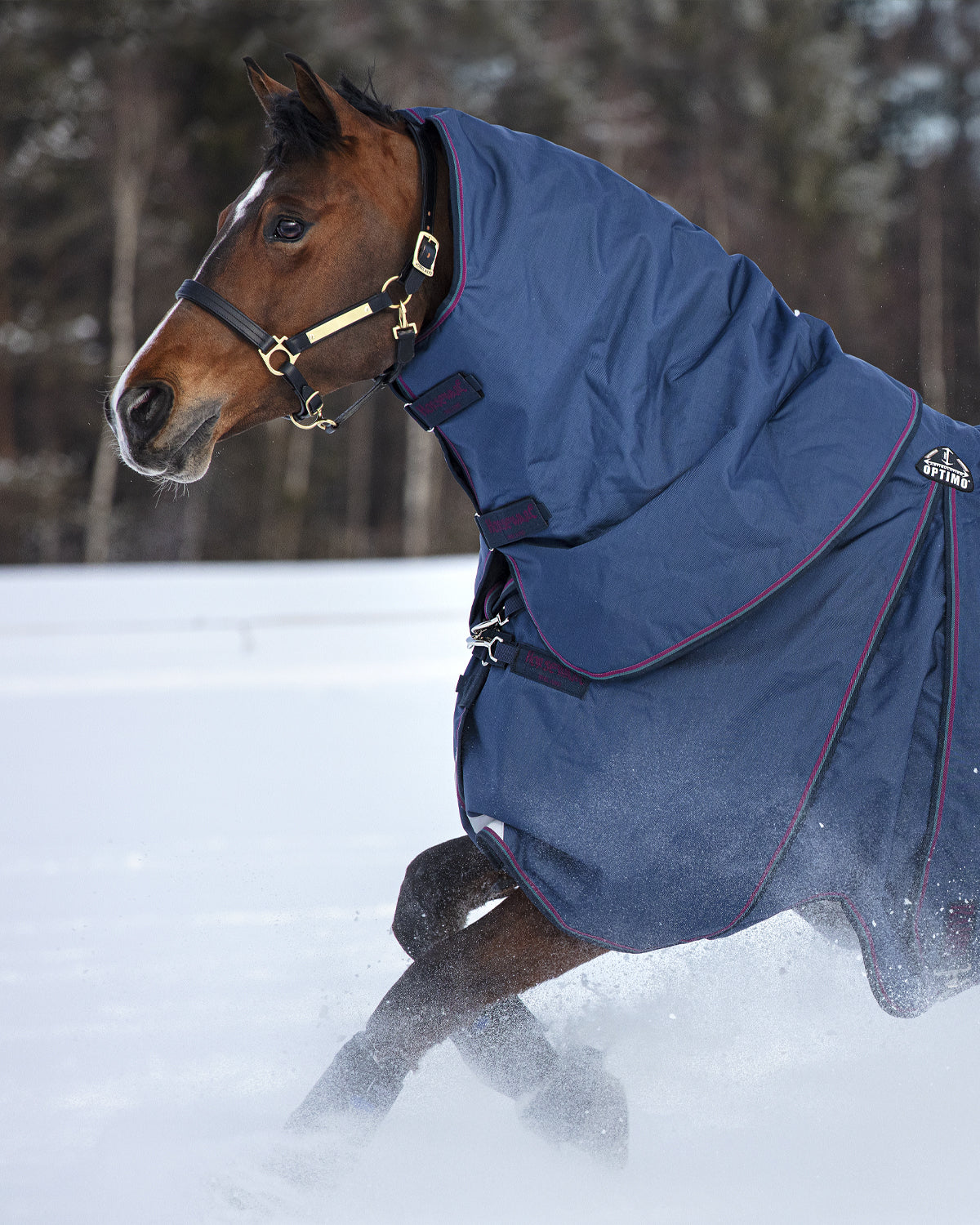 Horseware Rambo Optimo Hood 150g. OUTLET