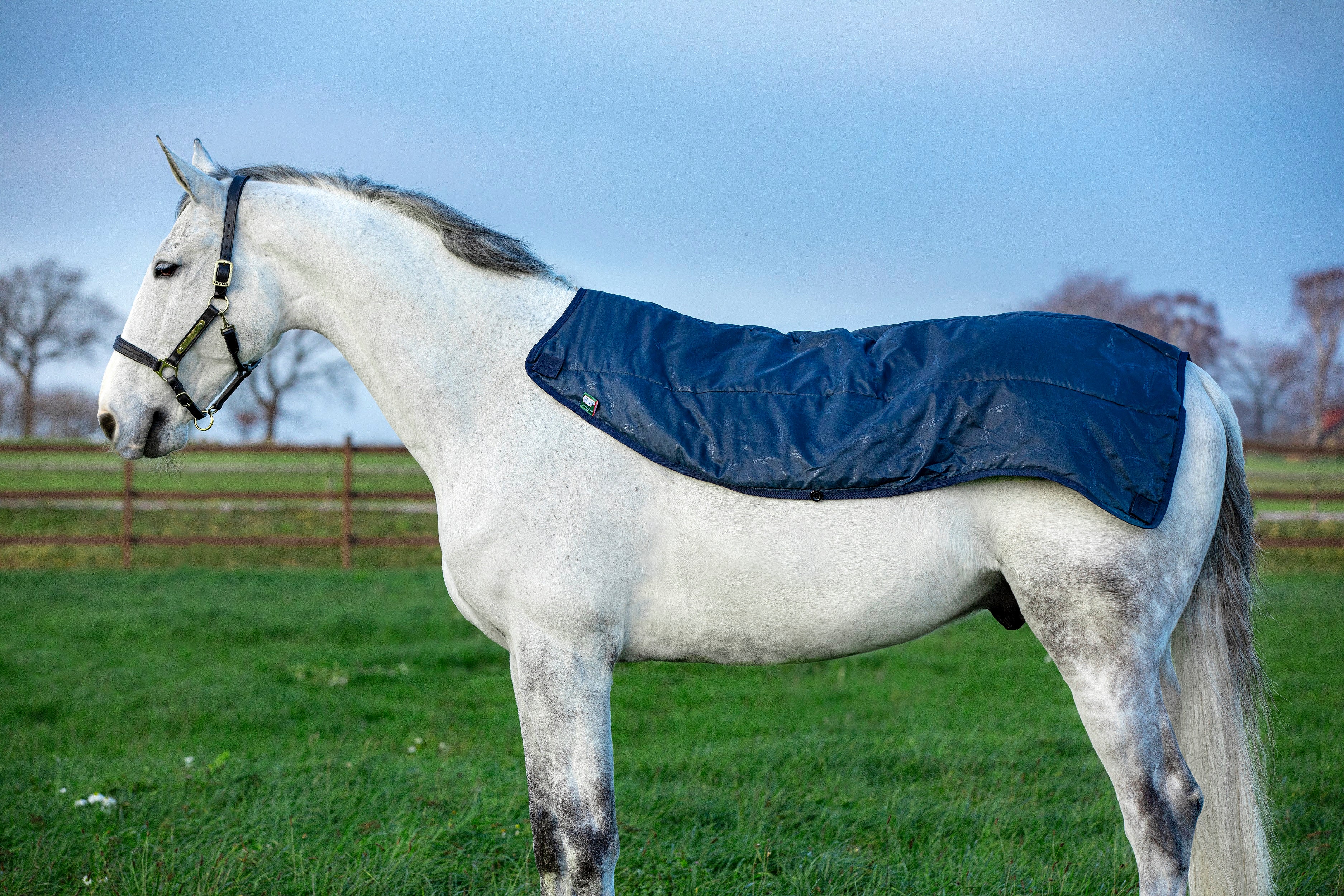 Horseware Rambo Summer Series V-Front