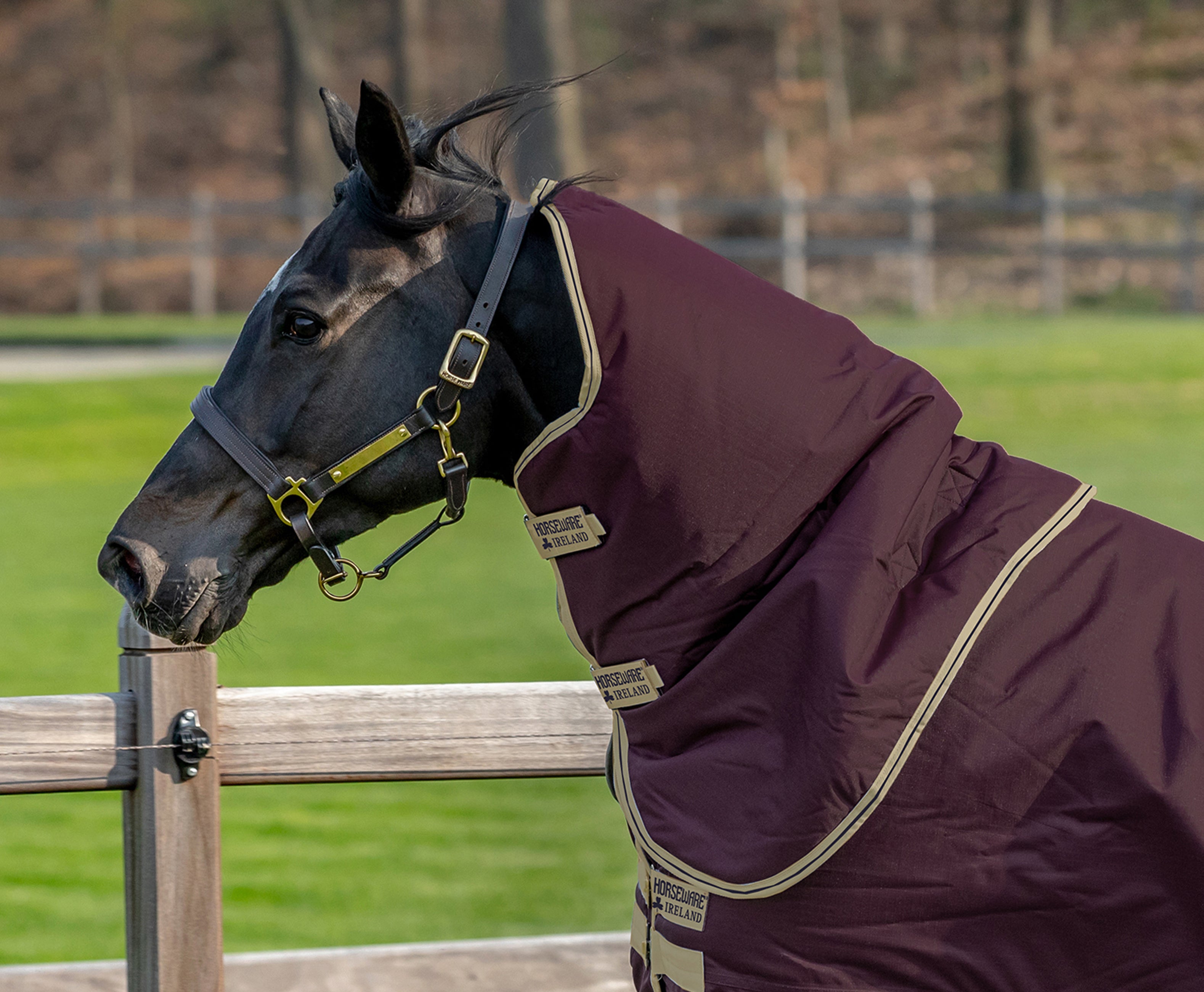 Horseware Amigo Hero Ripstop Hood 0 g. - OUTLET