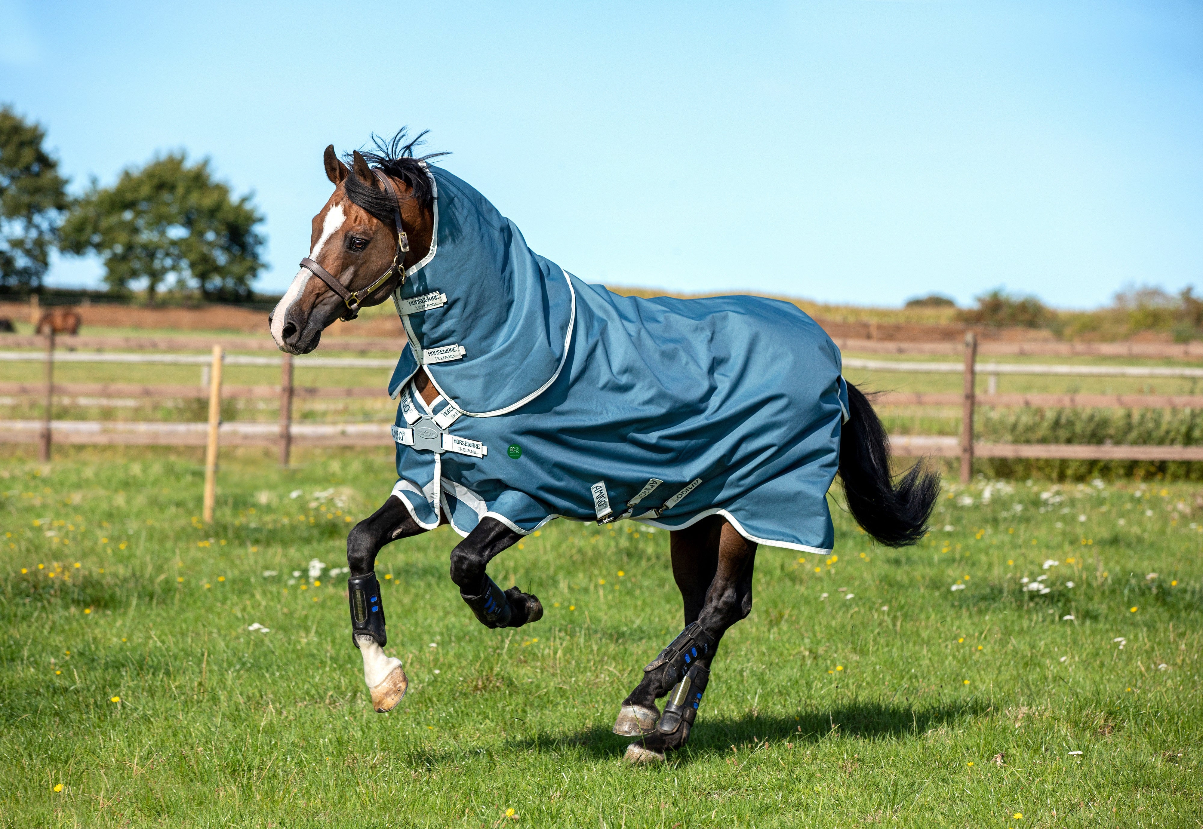 Horseware AmECO Bravo 12 Plus Turnout 100 g. Lite - OUTLET